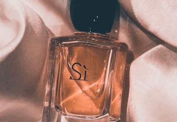 project.violaviolets